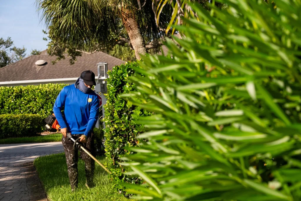 Crew member edging along a hedge line