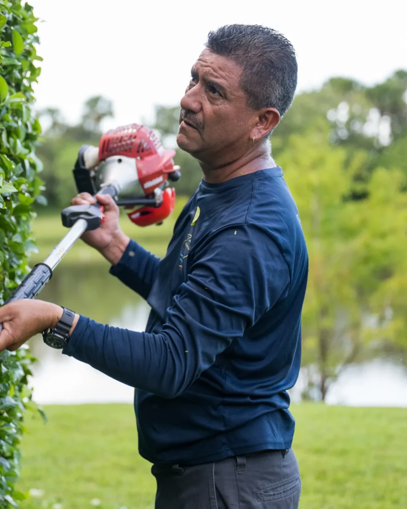 Premier crew member with a pole hedge trimmer