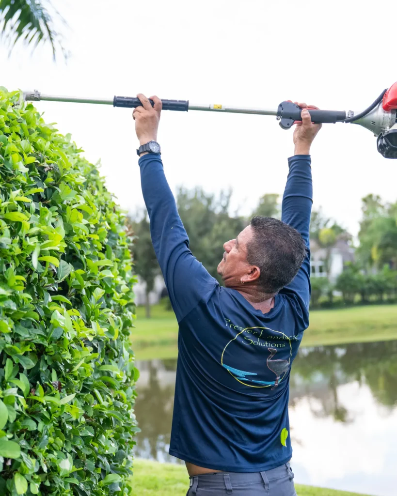 Crew member trimming the top of a hedge overhead