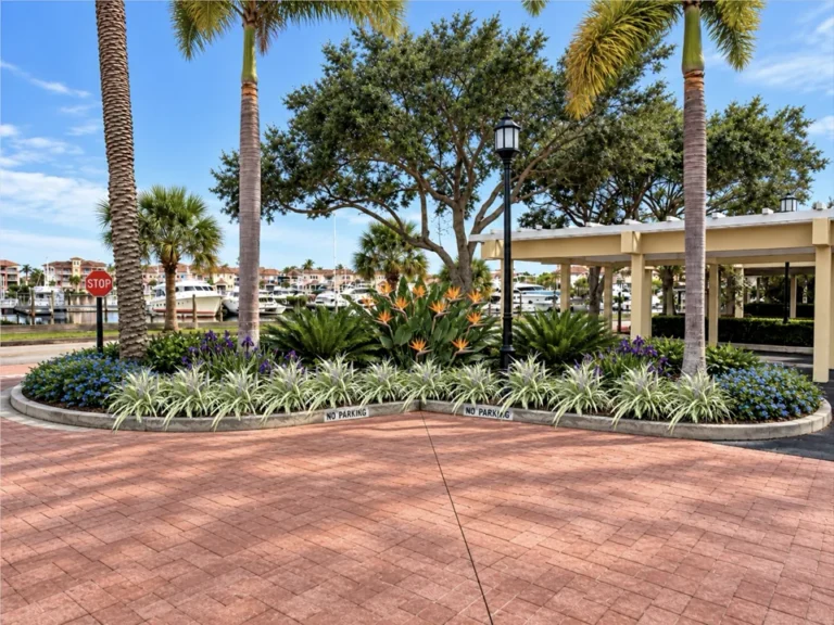 Riverfront entry landscape design with bird of paradise, cycads and blue flowering border