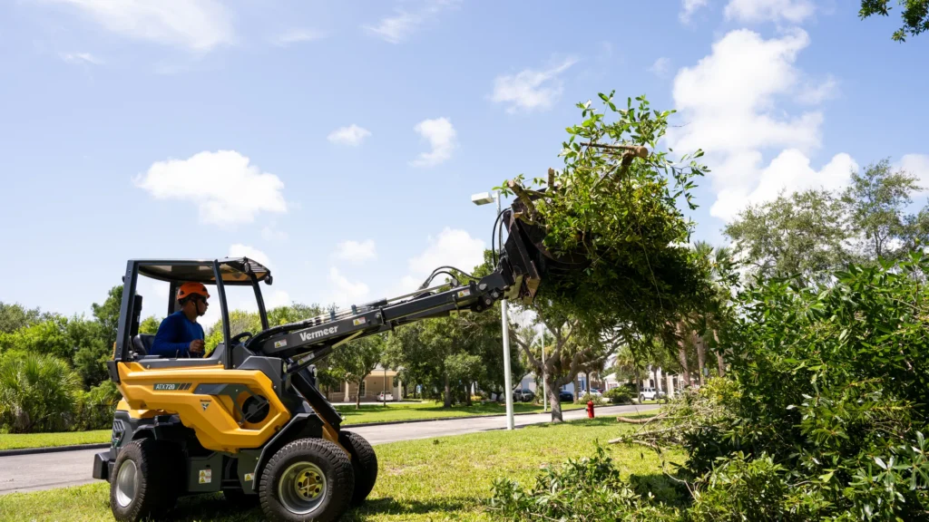 Compact loader hauling brush after tree trimming