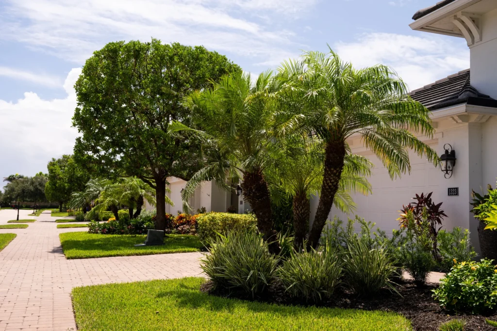 Corner home with palms, shrubs and a manicured lawn maintained by Premier
