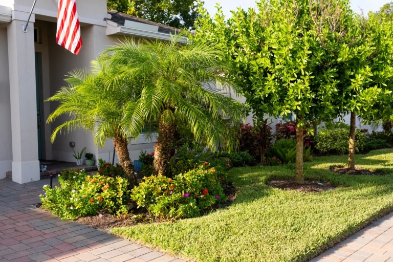 Home entrance framed by palms, shrubs and a green lawn